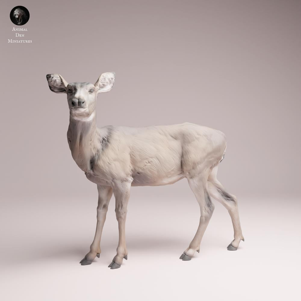 Produktfoto Tabletop 28mm Lord of the Print (LotP) 3: Wildtier Tierfigur: Maultierhirsch-Weibchen - stehend (26_01_08)
