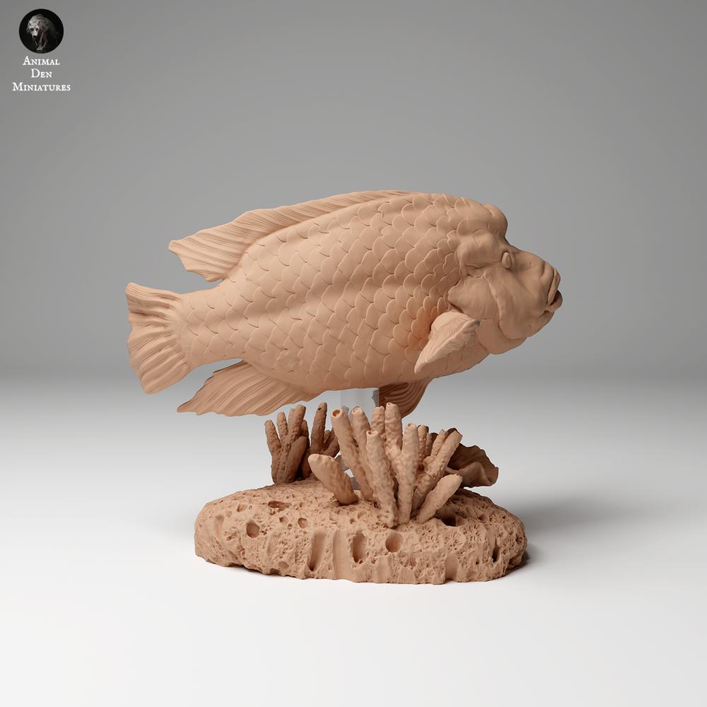 Foto de producto de figura animal Animal Den Miniatures 0: Figura de animal marino: pez napoleón (24_06_07)