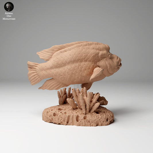 Foto de producto de figura animal Animal Den Miniatures 0: Figura de animal marino: pez napoleón (24_06_07)