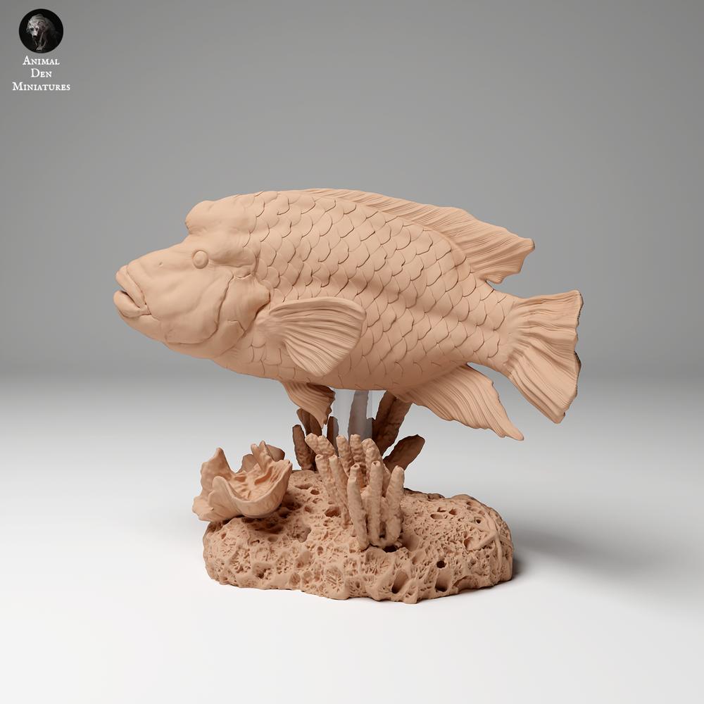 Foto de producto de figura animal Animal Den Miniatures 1: Figura animal marina: pez napoleón (24_06_07)