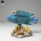 Foto de producto de figura animal Animal Den Miniatures 2: Figura animal marina: pez Napoleón (24_06_07)