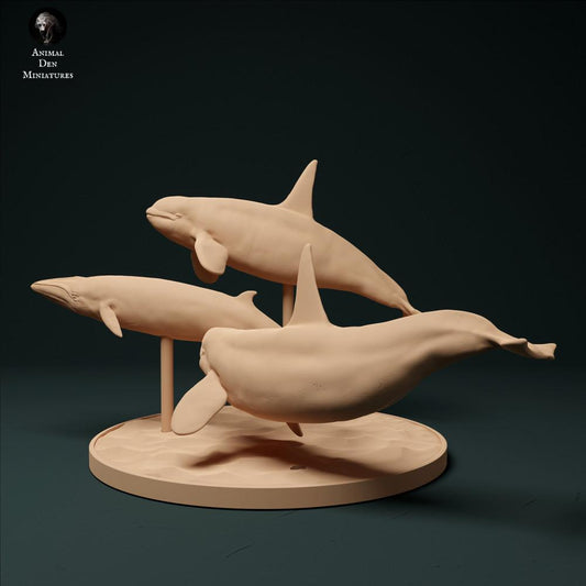 Foto de producto de figura animal Animal Den Miniatures 0: Figura animal: orcas tipo 2 del Atlántico Norte - caza de rorcual menor (23_12_10)