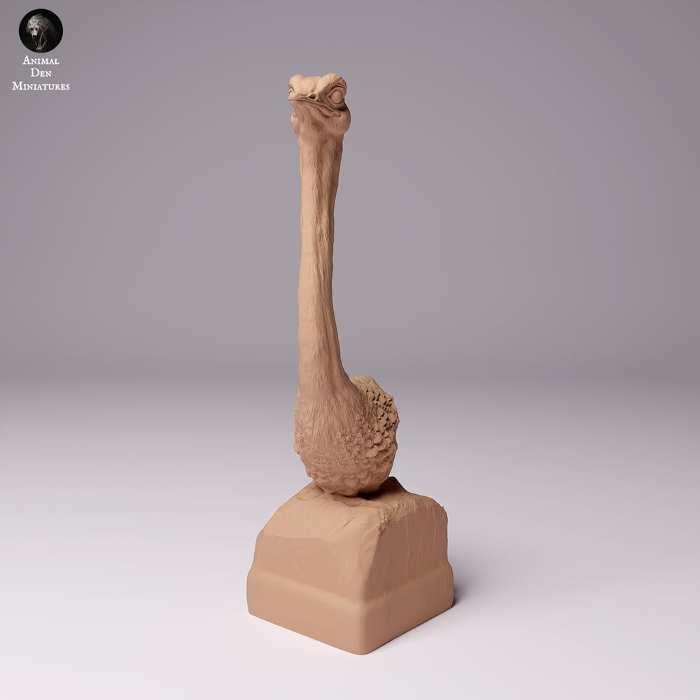 Foto de producto figura de animal Animal Den Miniatures 2: figura de animal salvaje: avestruz norteafricano - busto (24_07_10)