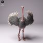 Produktfoto Tier Figur Diorama, Modellbau: 0: Vogelstrauß: Afrikanischer männlicher Strauß: Tiere aus Afrika