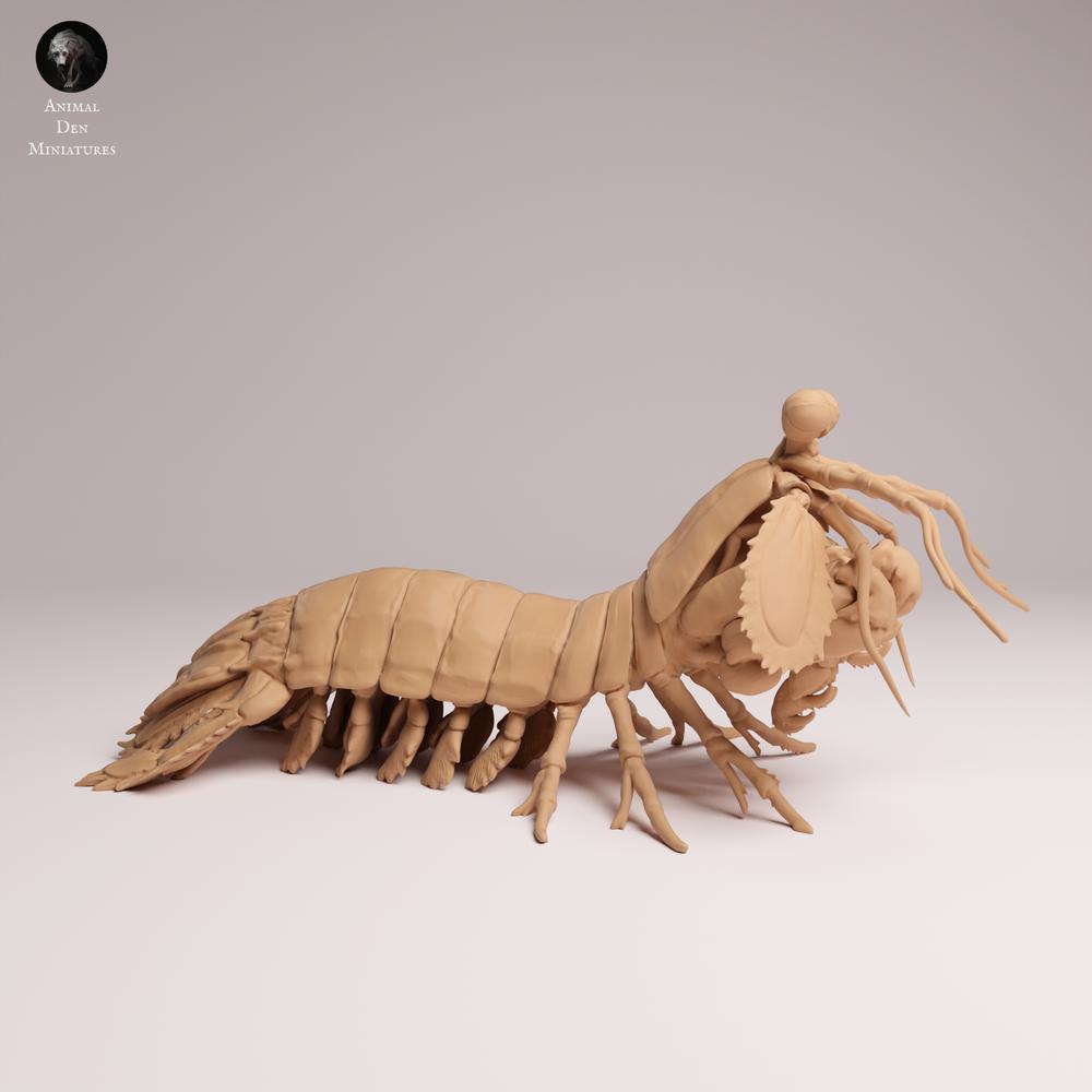 Foto de producto 0: Figura animal marina: camarón mantis pavo real (25_10_02)