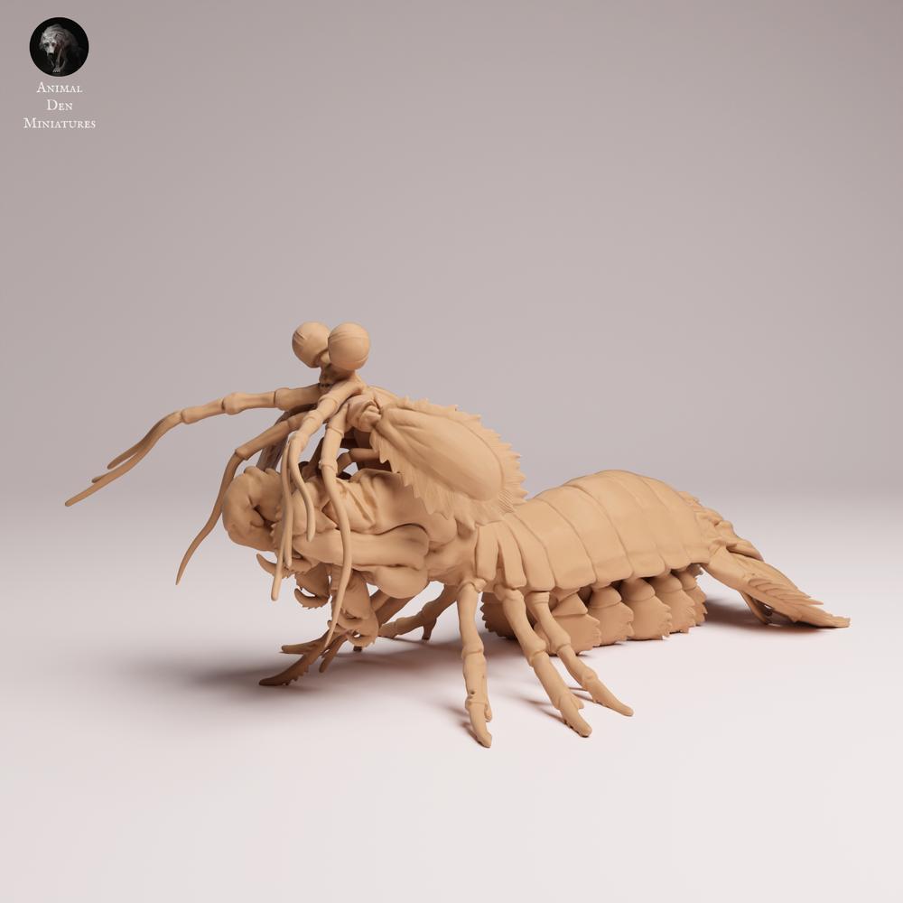 Foto de producto 2: Figura animal marina: camarón mantis pavo real (25_10_02)