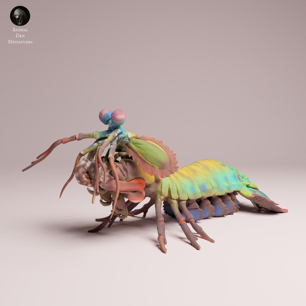 Foto de producto 3: figura de animal marino: camarón mantis pavo real (25_10_02)