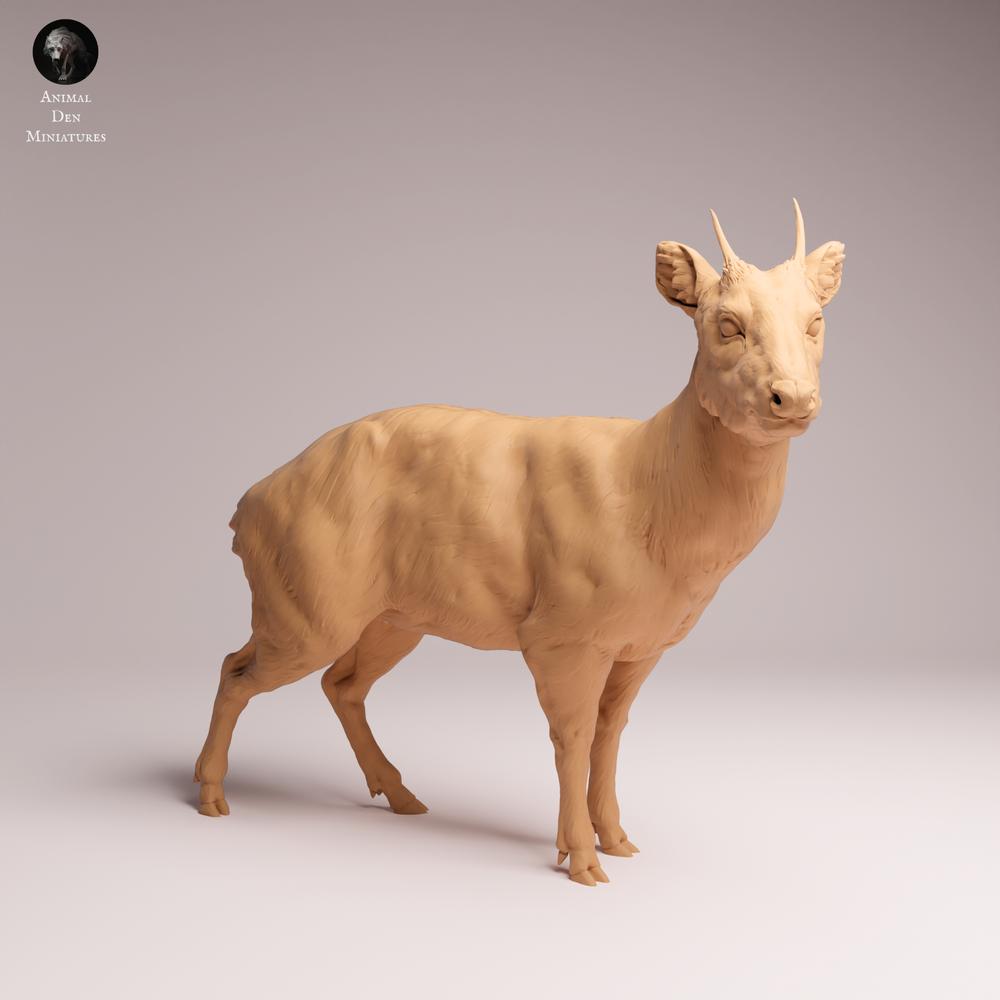 Foto del producto Tabletop 28mm Lord of the Print (LotP) 2: Figura de animal salvaje: Pudu - de pie (26_01_09)
