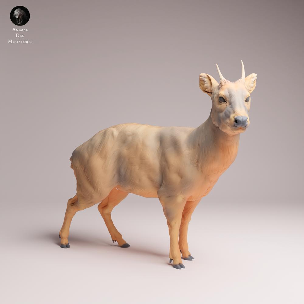 Foto del producto Tabletop 28mm Lord of the Print (LotP) 3: Figura de animal salvaje: Pudu - de pie (26_01_09)