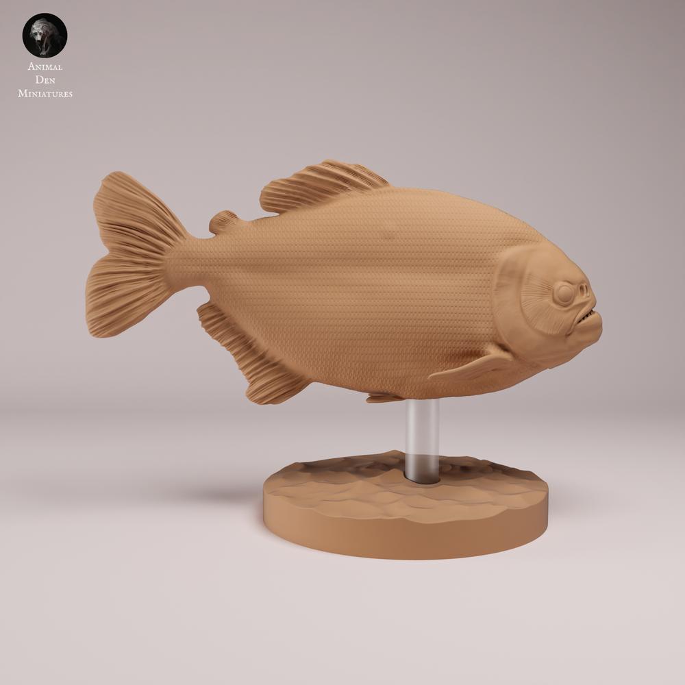 Foto de producto de figura de animal Animal Den Miniatures 1: Pez: piraña roja con vientre rojo (26_08_01)