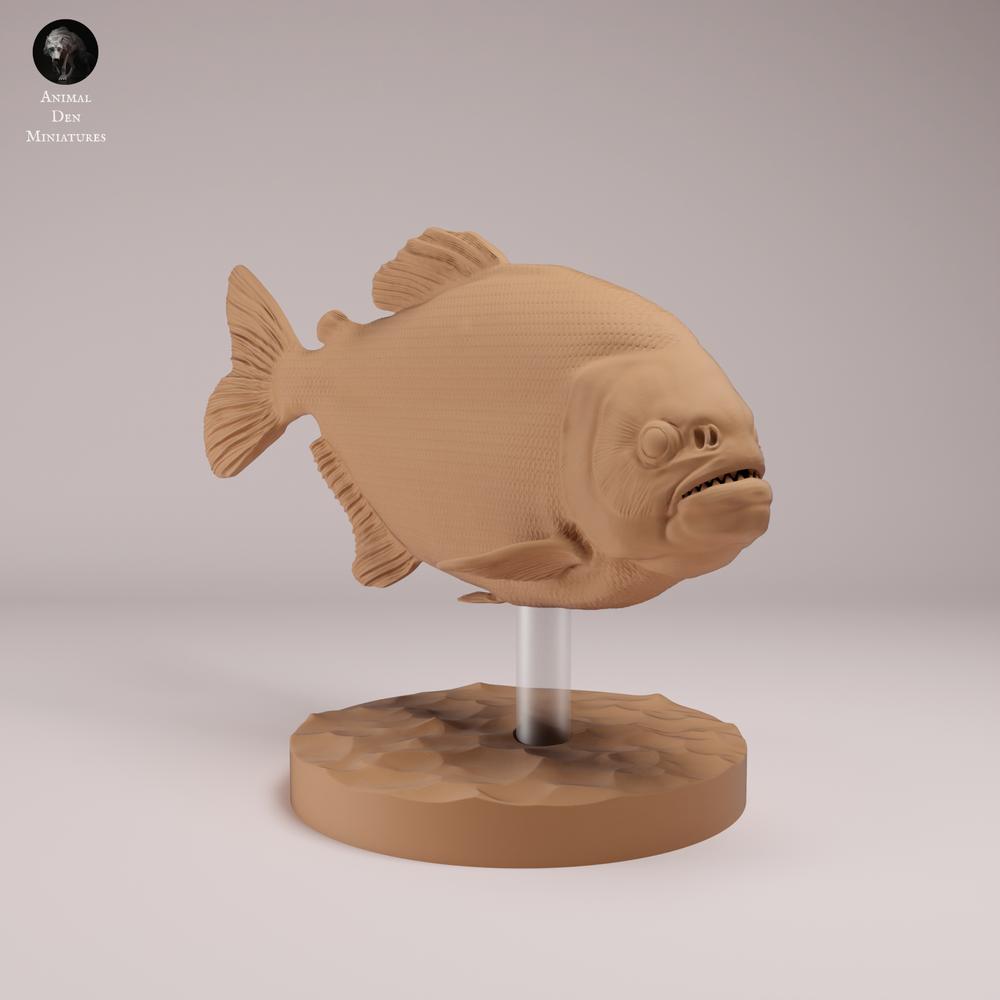 Foto de producto, figura de animal Animal Den Miniatures 2: pez, figura de animal: piraña roja con vientre rojo (26_08_01)