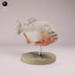 Foto de producto de figura animal Animal Den Miniatures 3: Pez: piraña roja de vientre rojo (26_08_01)
