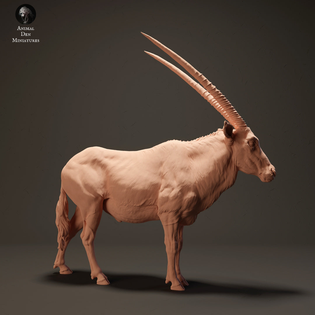 Foto del producto figura de animal diorama, modelismo: 0: Gemsbok antílope: animales de África
