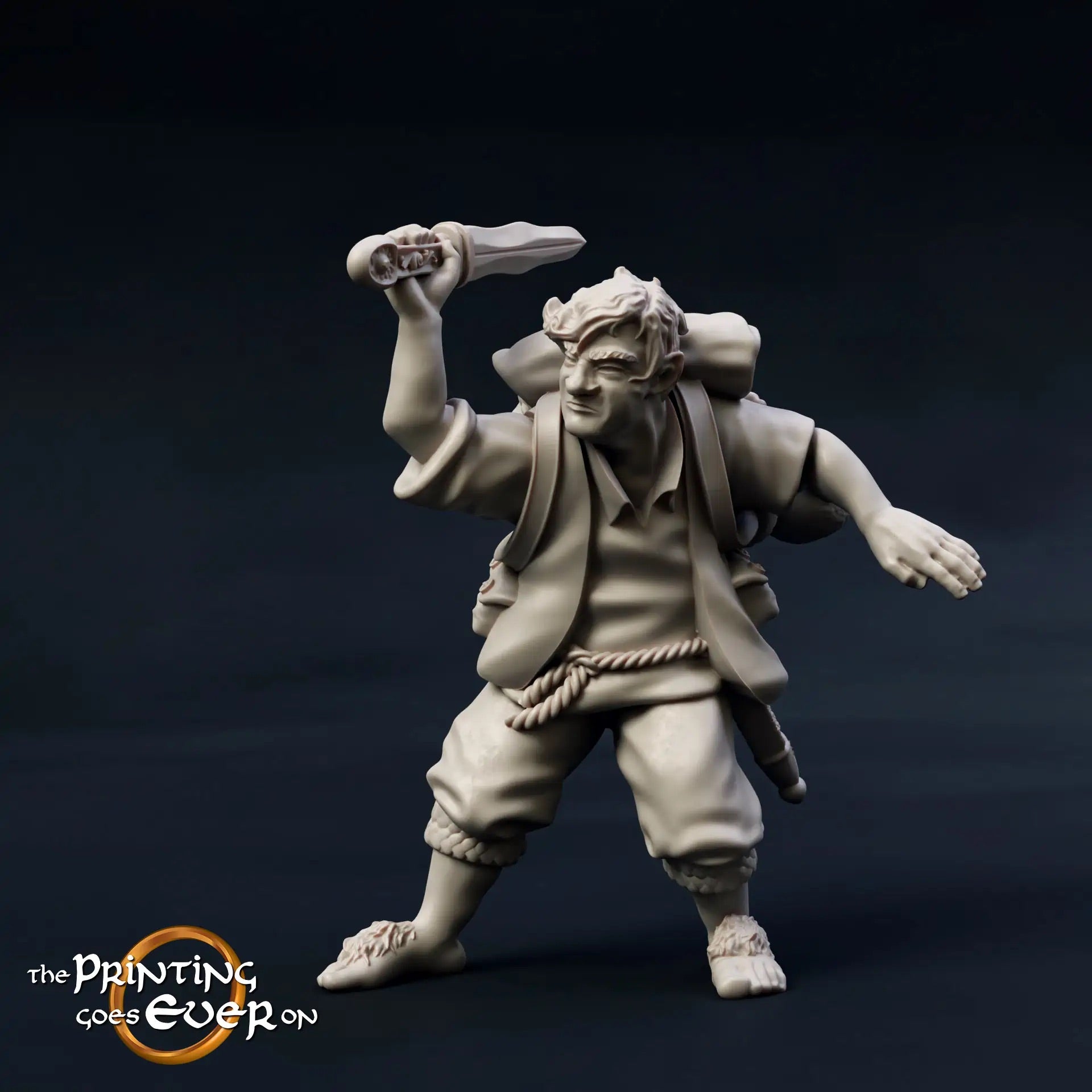 Foto del producto Tabletop 28mm The Printing Goes Ever On (TPGEO) 0: 9 héroes en pose de combate: compañeros de humanos, elfos, enanos y medianos - guerreros