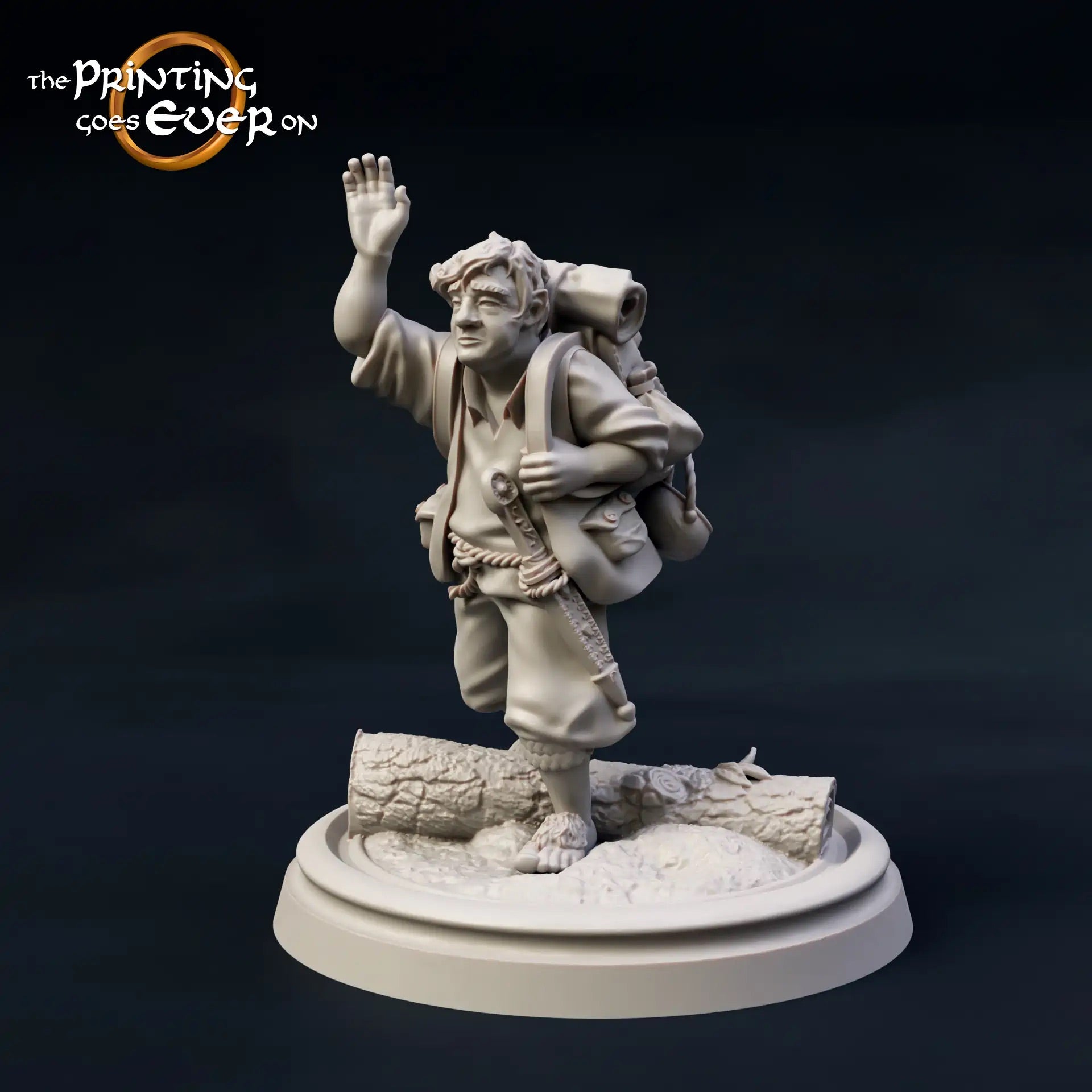 Foto del producto Tabletop 28mm The Printing Goes Ever On (TPGEO) 0: 9 héroes en pose de viaje: compañeros de humanos, elfos, enanos y medianos - Viajero