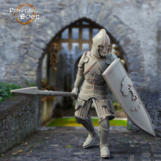 Produktfoto mittelalterliche historische Figur 75mm Scale The Printing Goes Ever On (TPGEO)  0: Mittelalterliche Ritter Figuren Speerkämpfer B Krieger von Gonthan