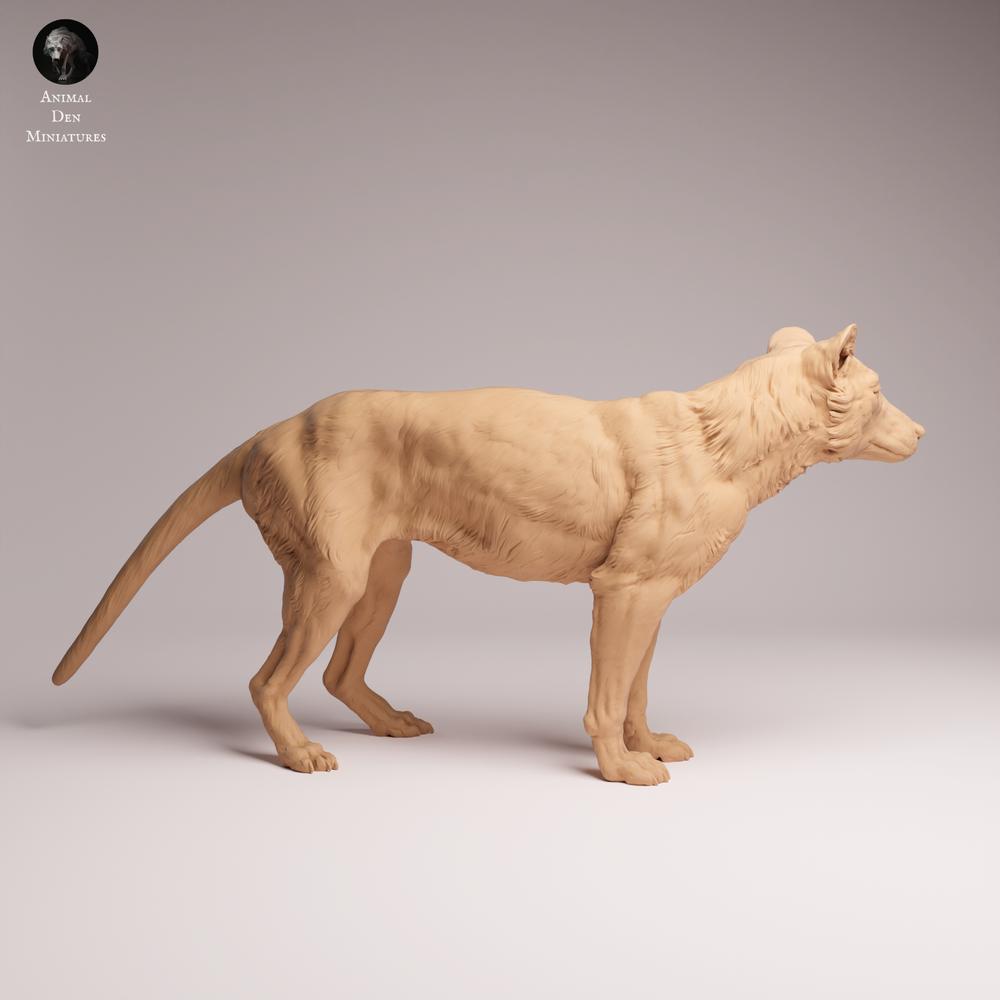 Foto del producto Tabletop 28mm Lord of the Print (LotP) 0: Figura de animal salvaje: tilacino (tigre de Tasmania) - de pie (26_04_10)