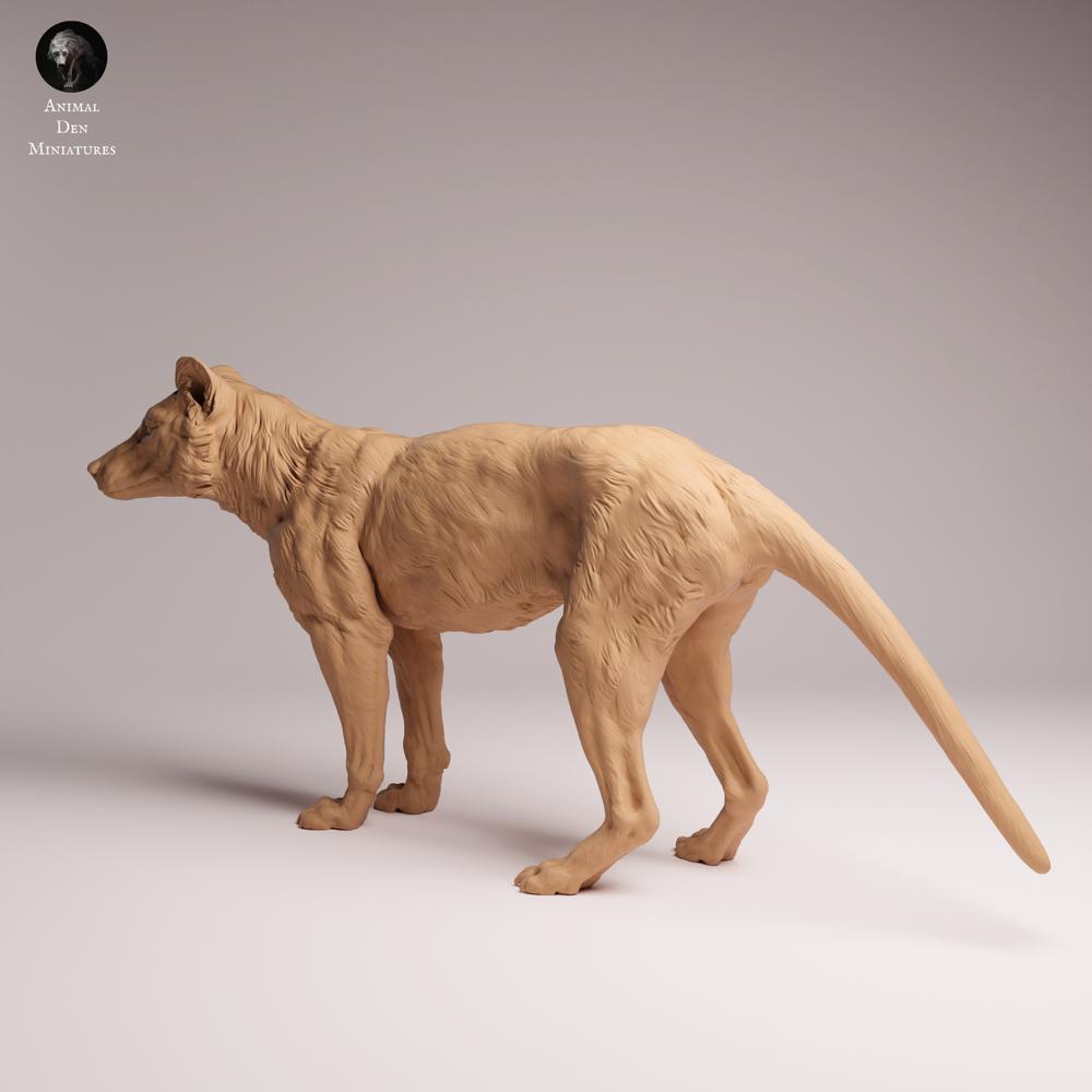 Foto del producto Tabletop 28mm Lord of the Print (LotP) 1: Figura de animal salvaje: tilacino (tigre de Tasmania) - de pie (26_04_10)