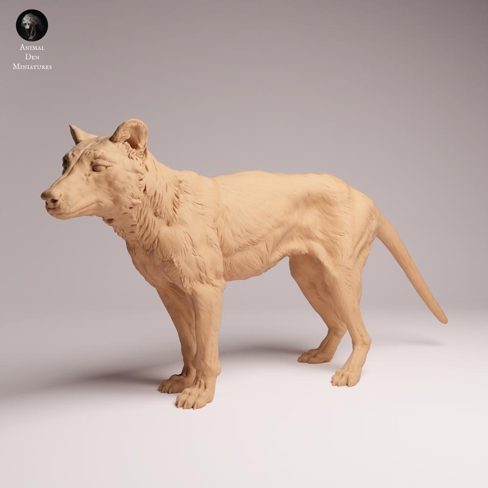 Foto de producto Tabletop 28mm Lord of the Print (LotP) 2: Figura de animal salvaje: tilacino (tigre de Tasmania) - de pie (26_04_10)