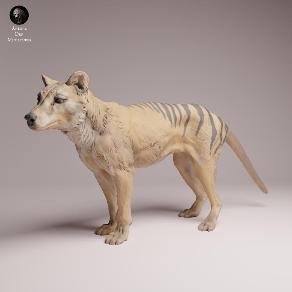 Foto del producto Tabletop 28mm Lord of the Print (LotP) 3: Figura de animal salvaje: tilacino (tigre de Tasmania) - de pie (26_04_10)