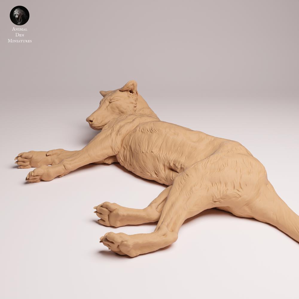 Foto del producto Tabletop 28mm Lord of the Print (LotP) 0: Figura animal de fauna silvestre: tigre de Tasmania tumbado (26_04_07)