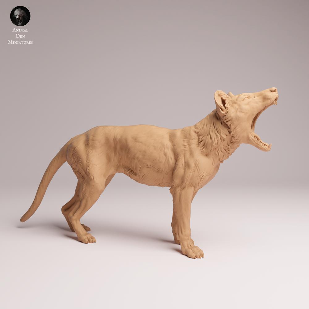 Foto del producto Tabletop 28mm Lord of the Print (LotP) 0: Figura de animal salvaje: tilacino (tigre de Tasmania) - bostezando (26_04_09)