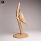 Foto del producto Tabletop 28mm Lord of the Print (LotP) 1: Figura de ave: Toko-Tucán - sentado en una rama