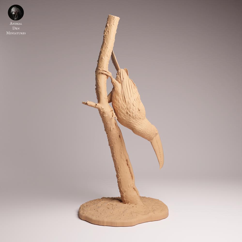 Foto del producto Tabletop 28mm Lord of the Print (LotP) 1: Figura de ave: Toko-Tucán - sentado en una rama