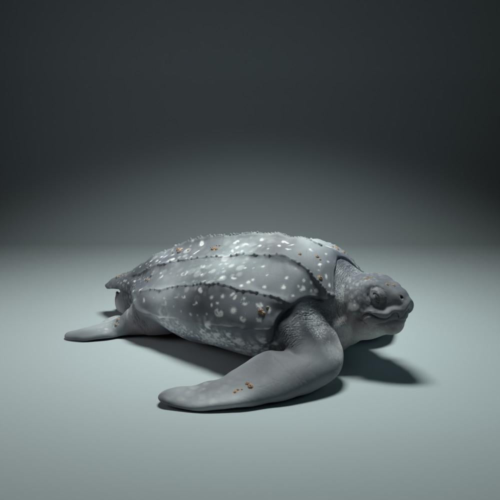 Foto de producto figura de animal Animal Den Miniatures 0: figura de animal marino: tortuga laúd (22_09_01)