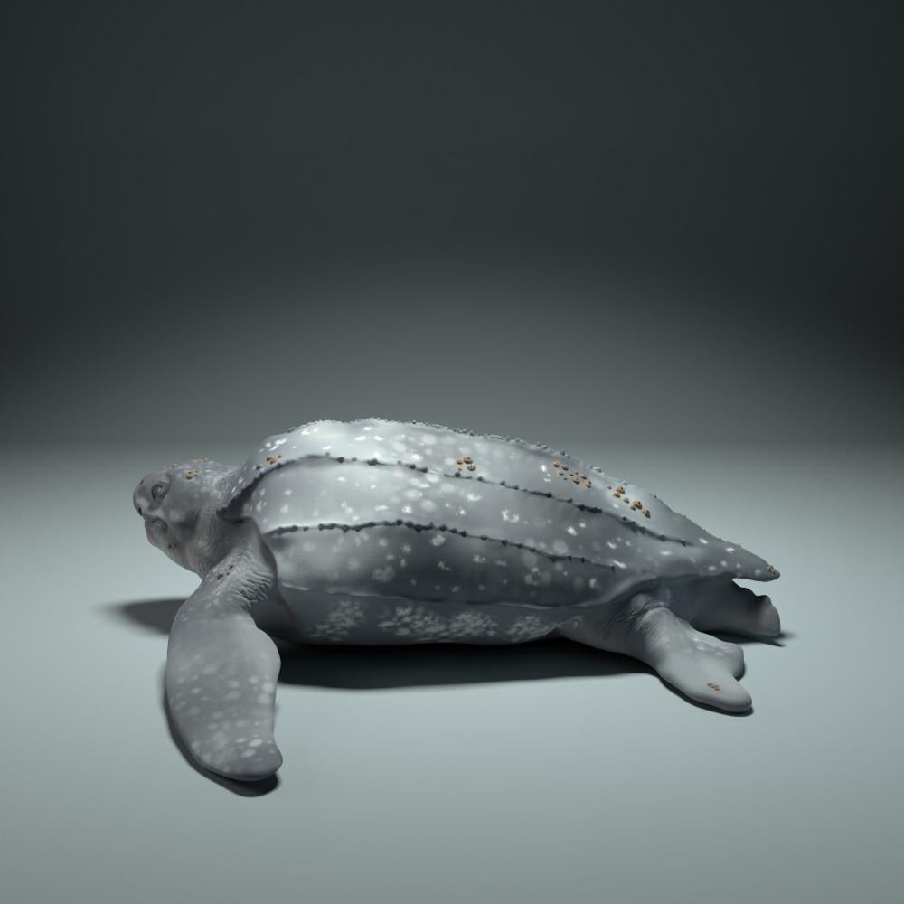 Foto de producto de figura de animal Animal Den Miniatures 2: Figura de animal marino: tortuga laúd (22_09_01)