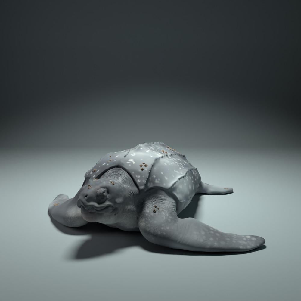 Foto de producto de figura de animal Animal Den Miniatures 3: figura de animal marino: tortuga laúd (22_09_01)